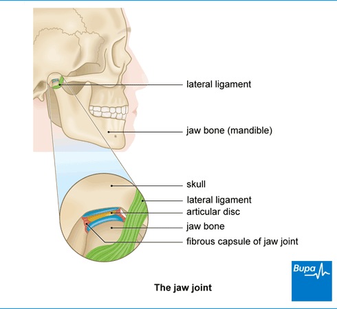 swollen jaw from grinding teeth