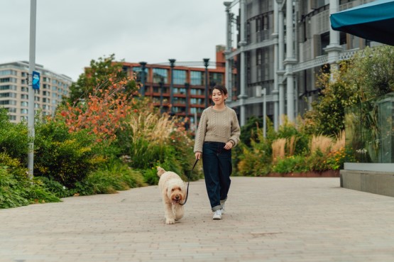 person walking their dog