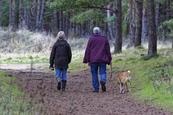 An older couple walking their dog in the woods