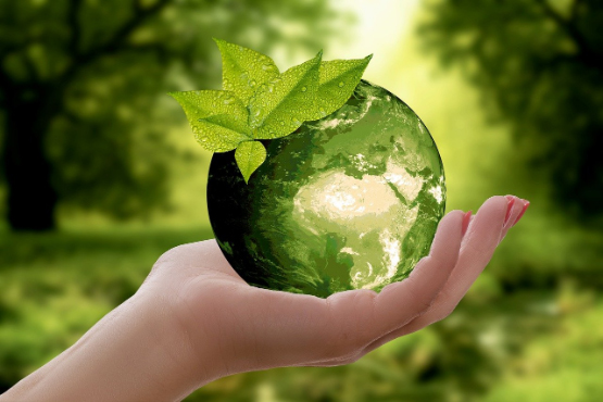 A hand holding a green Earth