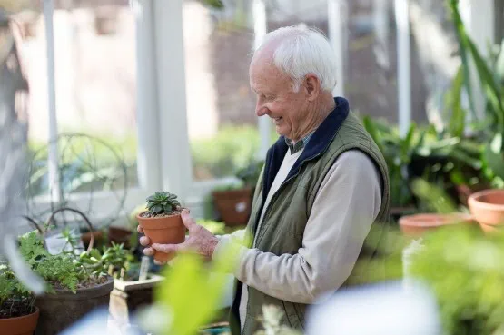 person potting a plant