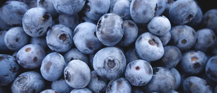 Water rich foods - blueberries