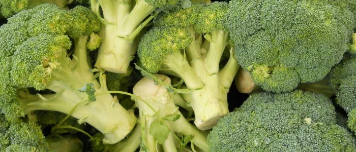 Water rich foods - broccoli