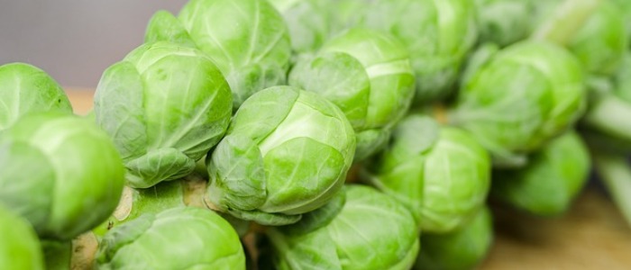 Water rich foods - brussel sprouts