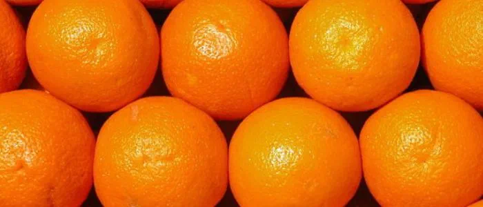 Water rich foods - oranges