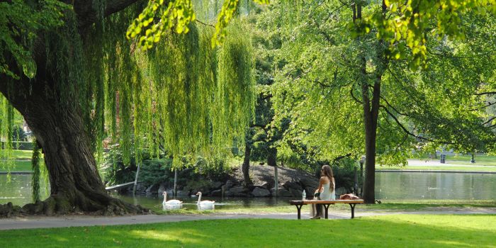 a woman in a park on a bench