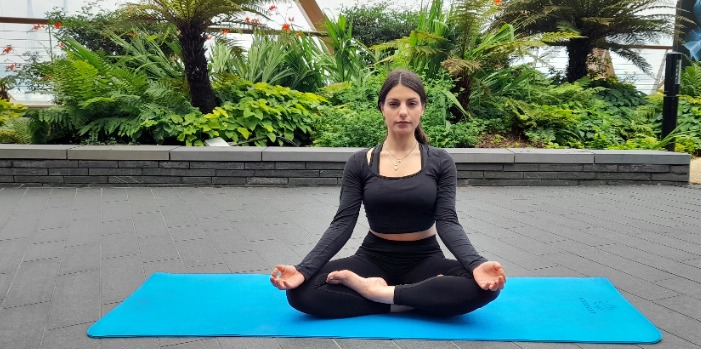 15 min Beginner Yoga for Balance & Stability 