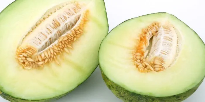 green melon