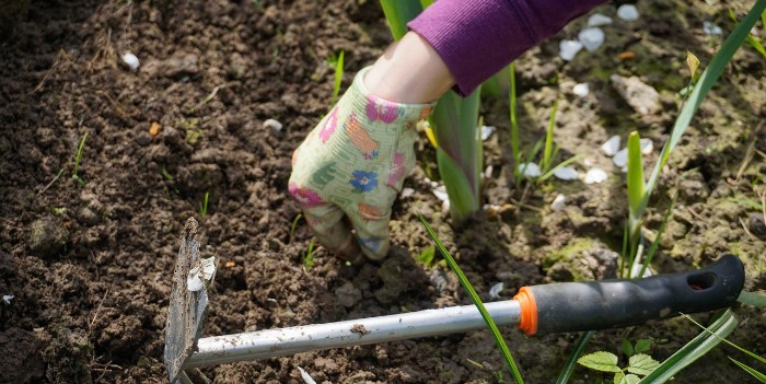 person working in the garden