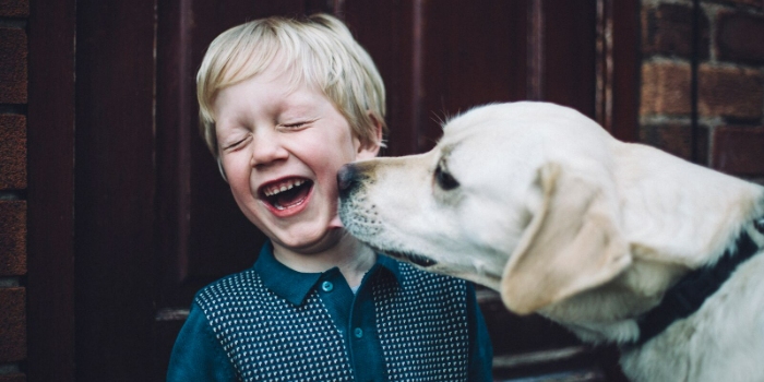 child laughing and playing with a Labrador