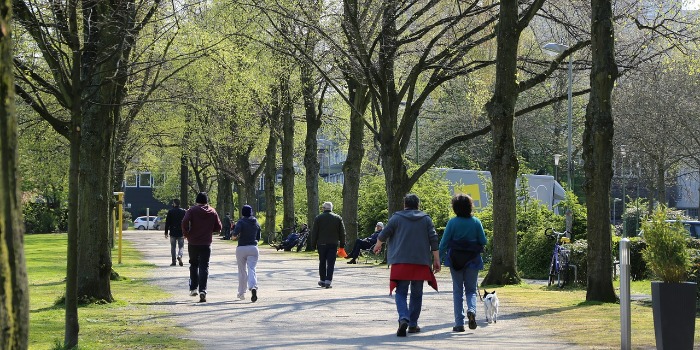 people walking in a park