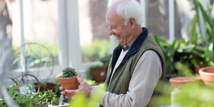 person potting a plant