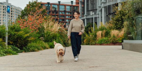 person walking their dog