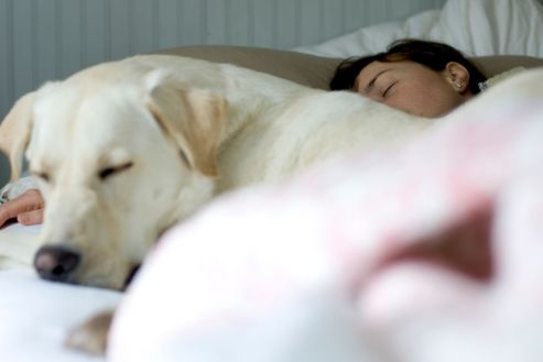 An image showing a person and a dog asleep