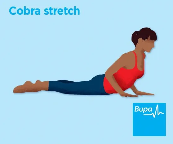Illustration of a cobra stretch