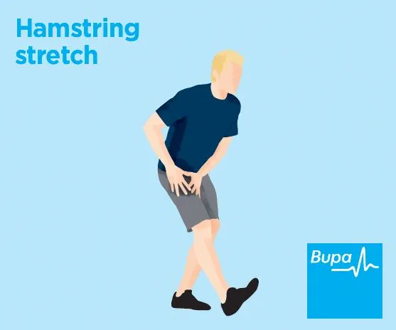 Illustration of a hamstring stretch