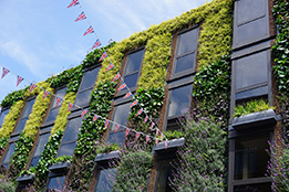 Bupa’s environmental, social, and corporate governance (ESG) strategy