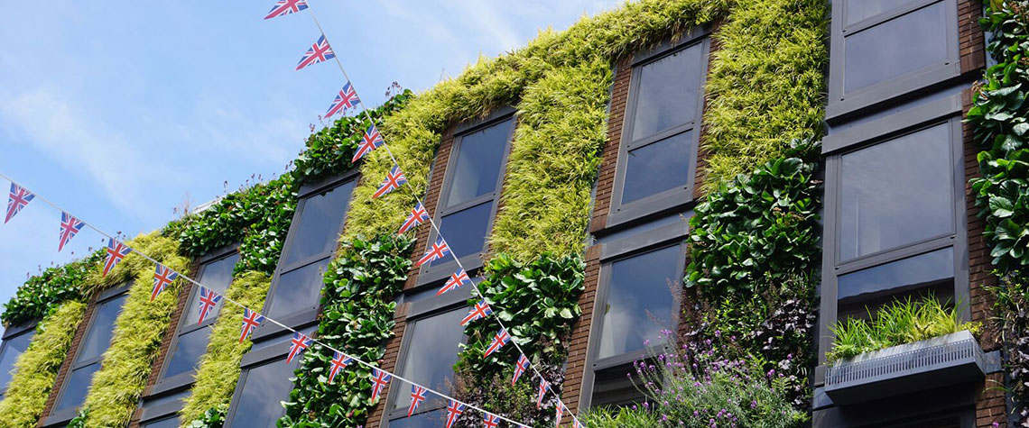 Bupa’s environmental, social, and corporate governance (ESG) strategy