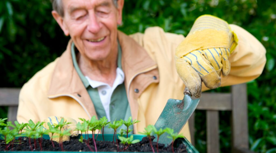 happy planting