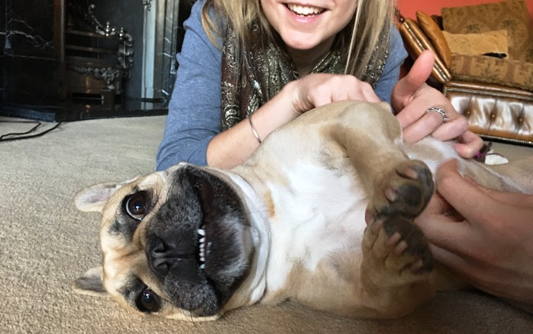 An image showing Matilda the dog having her tummy tickled
